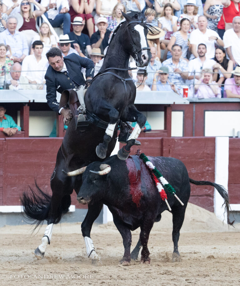 EL REJONEO, ARTE MAYOR CON CARTAGENA Y VENTURA