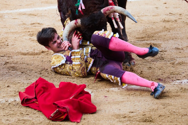 Las Ventas – 7° Festejo de la Temporada (Novillada)
