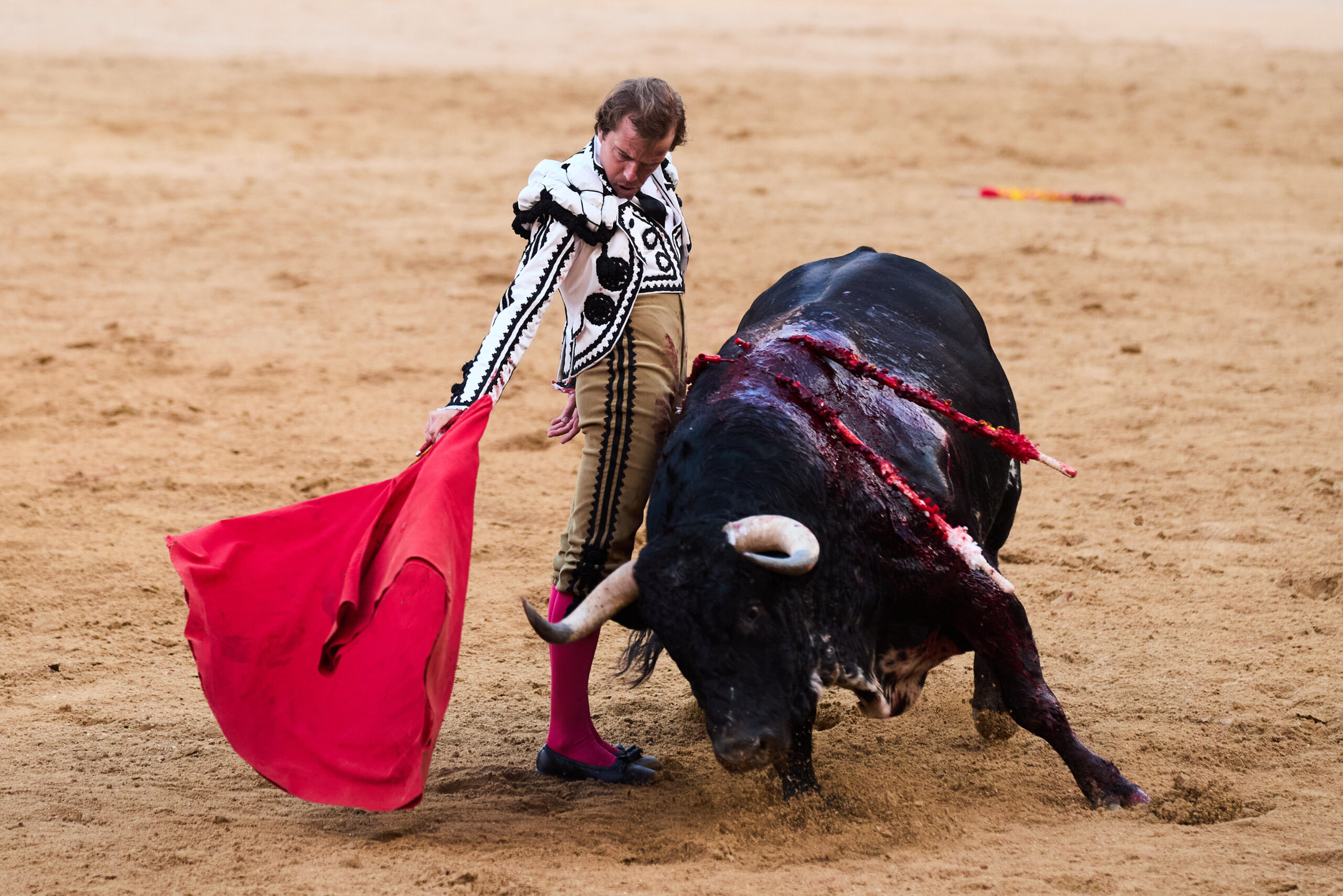Javier Cortés