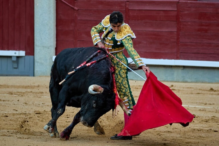 TOROS, 5; TOREROS, 0