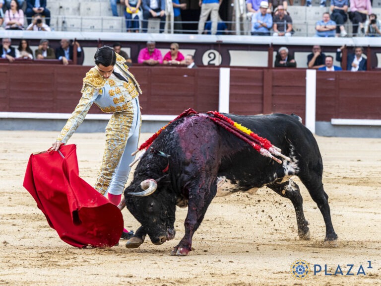CONFUSIÓN DE  «EL MENE» Y BUENOS APUNTES DE NACHO TORREJON