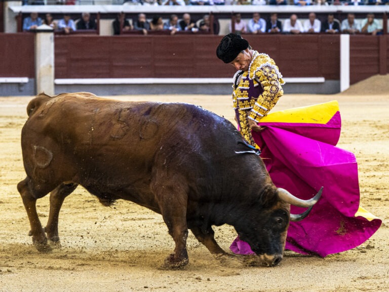 LA HONDURA DE URDIALES EN MEDIO DEL DILUVIO