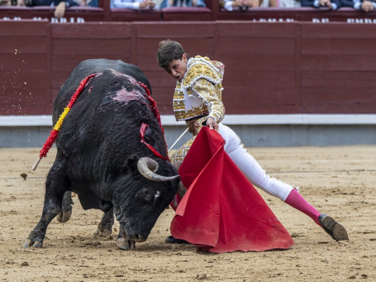 LA ESTÉTICA Y EL TALENTO DEL CONFIRMANTE AARÓN PALACIO, POR ENCIMA DE OTROS PÉSIMOS ARGUMENTOS DE LA TARDE